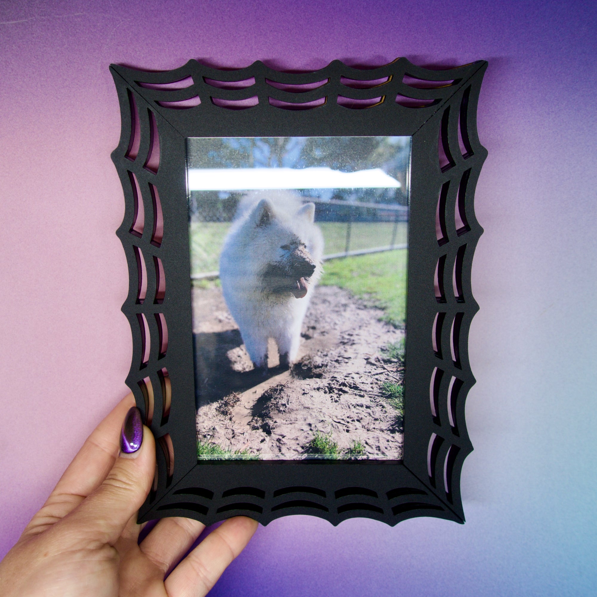 spider web photoframe