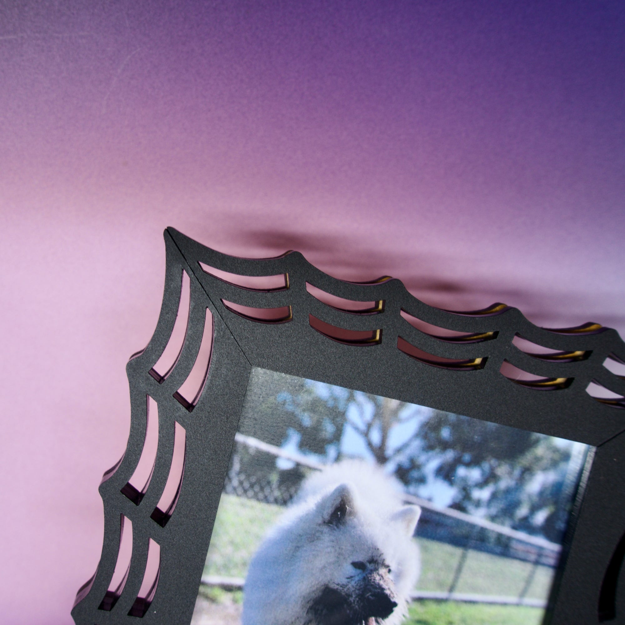 gothic spiderweb photo frame