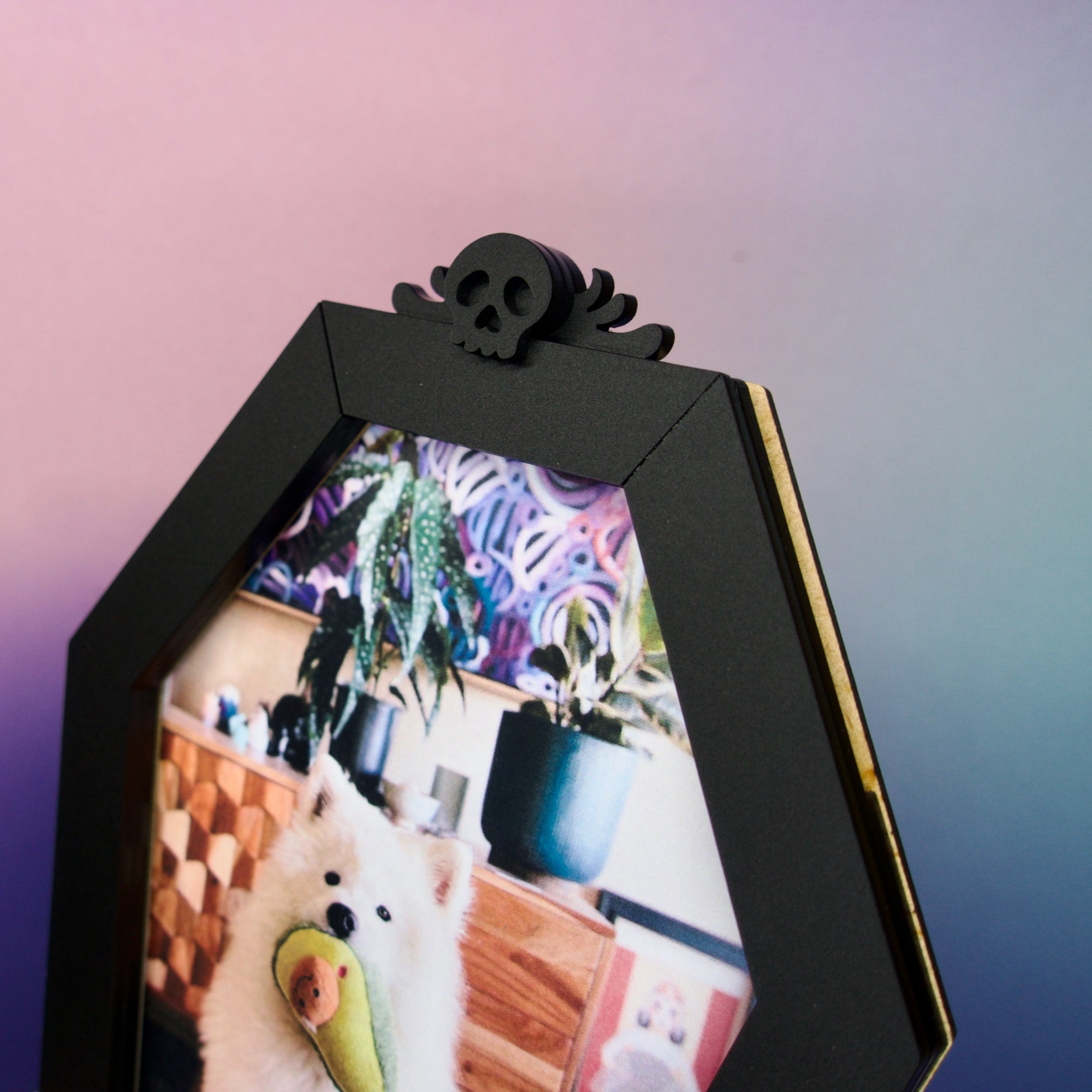 creepy cute coffin gothic photo frame